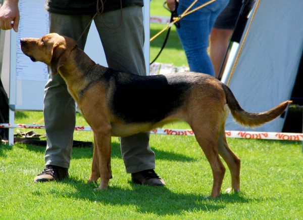 DSC_3693.JPG