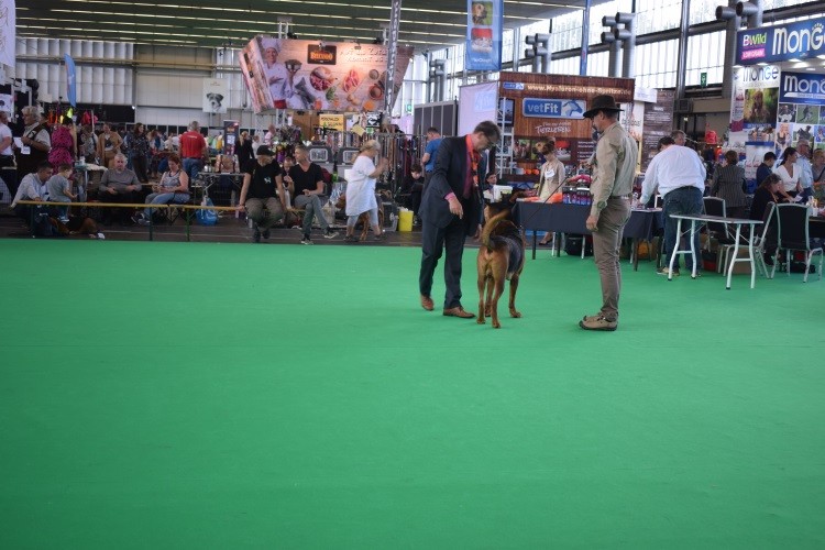 wds _2018 CZARNY Ogarusy .jpg