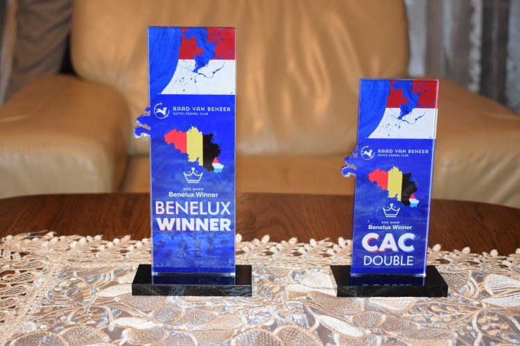 wystawa BENELUX WINNER _NASZE TROFEA .jpg