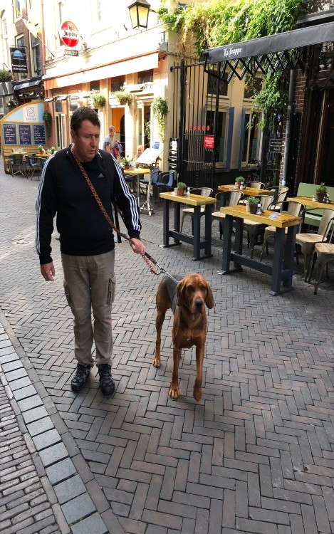 PIĄTKOWY SPACER PO UTRECHT .jpg