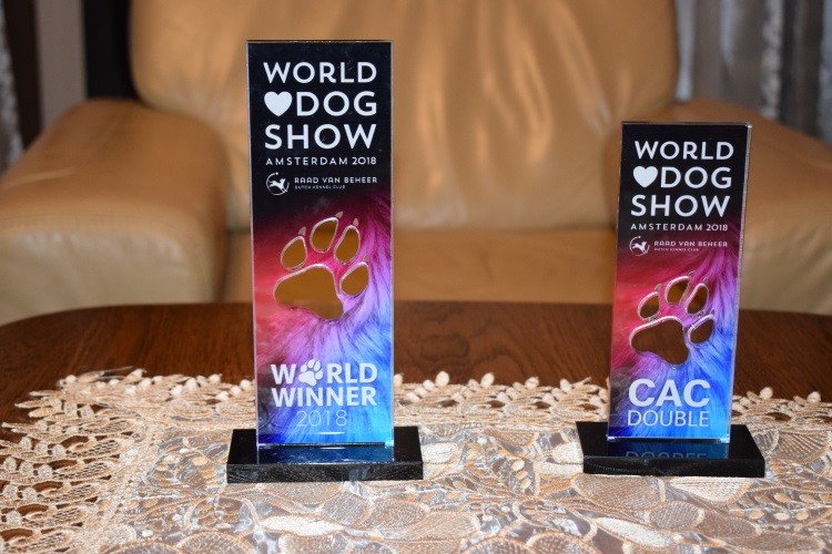 WDS_2018 TROFEA 1jpg.jpg