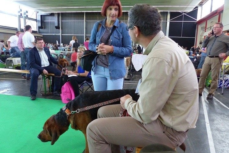 P1110966zm.JPG