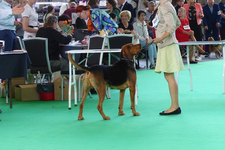 P1110992zm.JPG
