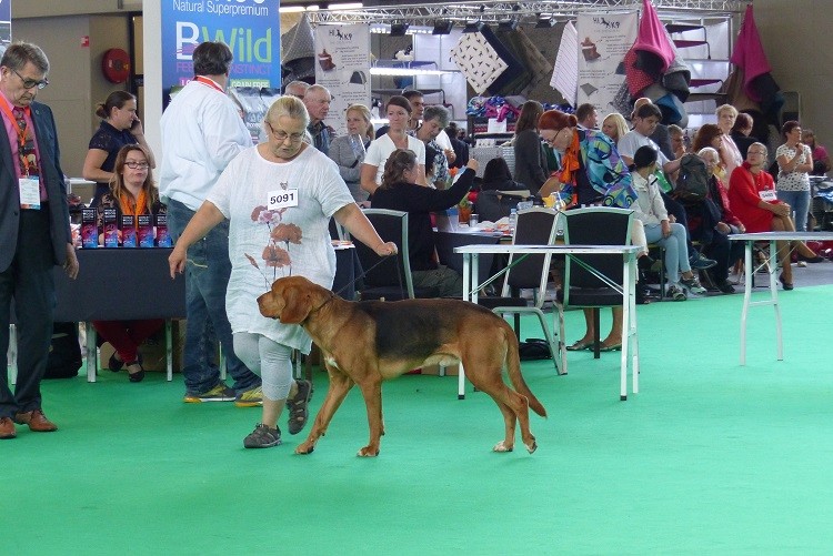 P1110998zm.JPG