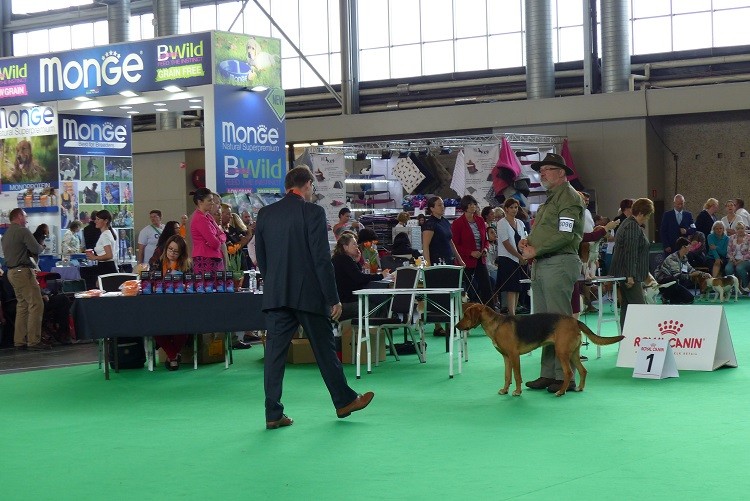 P1120061zm.JPG
