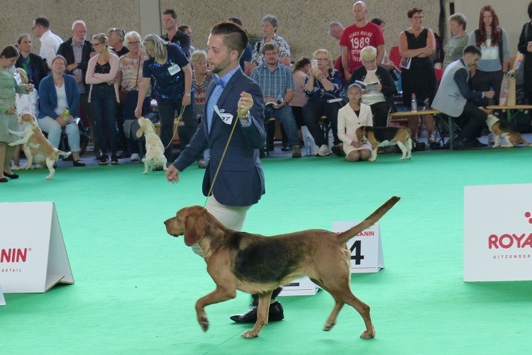 P1120074zm.JPG
