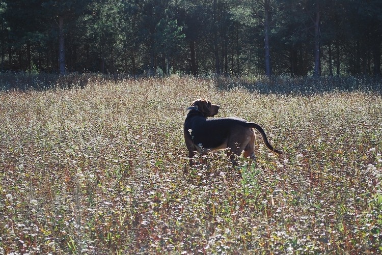 DSC_0217.JPG