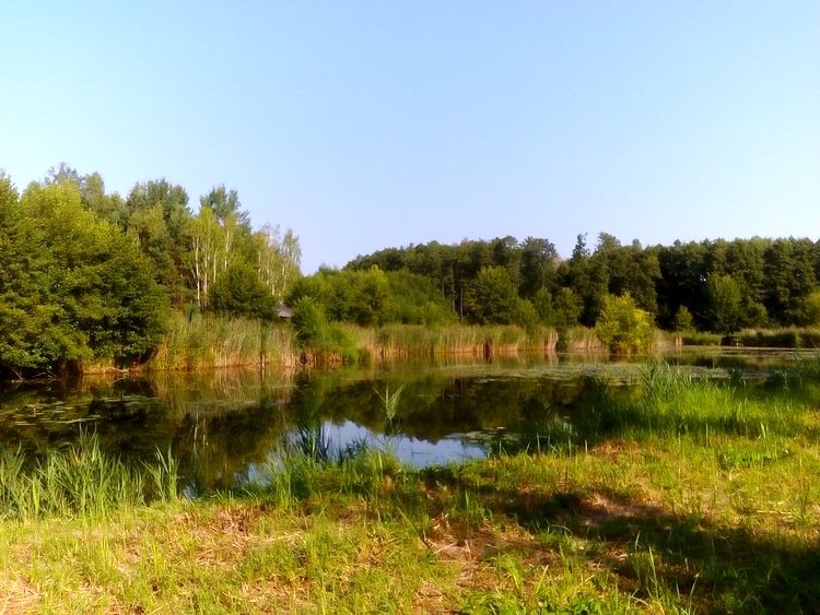 DSC_2663.JPG