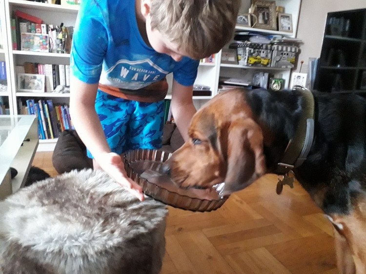 20180825_171430.jpg