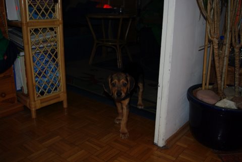 IMGP3518.JPG