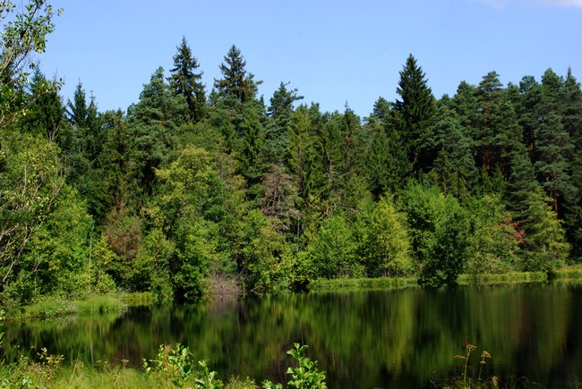 DSC_3738.JPG