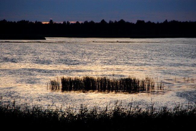 DSC_4066.JPG
