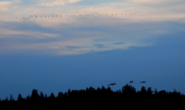 DSC_4085.JPG