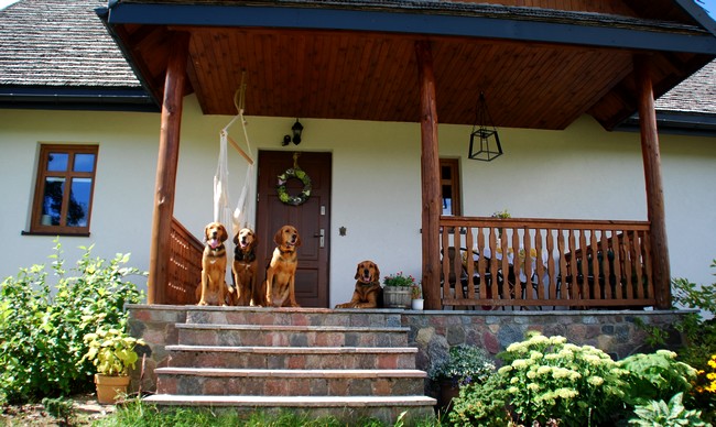 Ogary na ganku :)