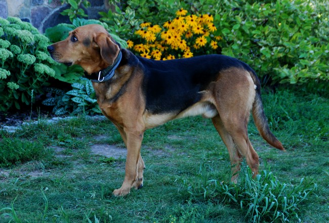 DSC_4223.JPG