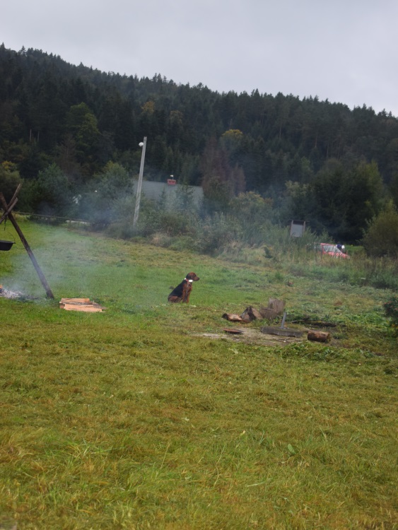 Rozmaryn PwL _Przygotowanie do pokazowej  ścieżki tropowej .jpg