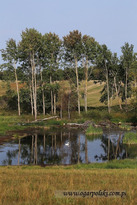 małe-IMG_3893.jpg