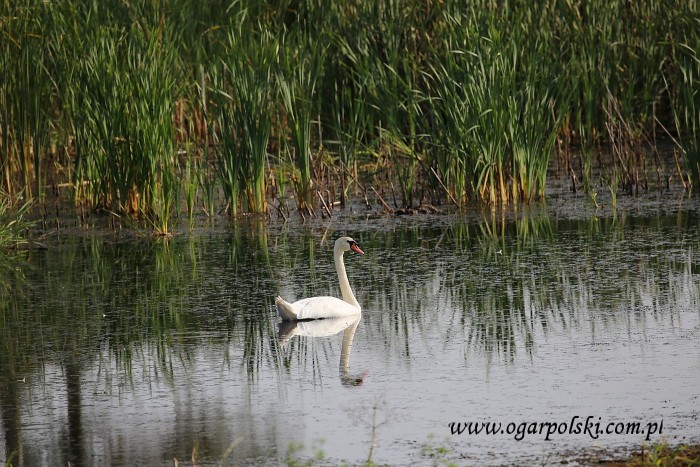 małe-IMG_3899.jpg