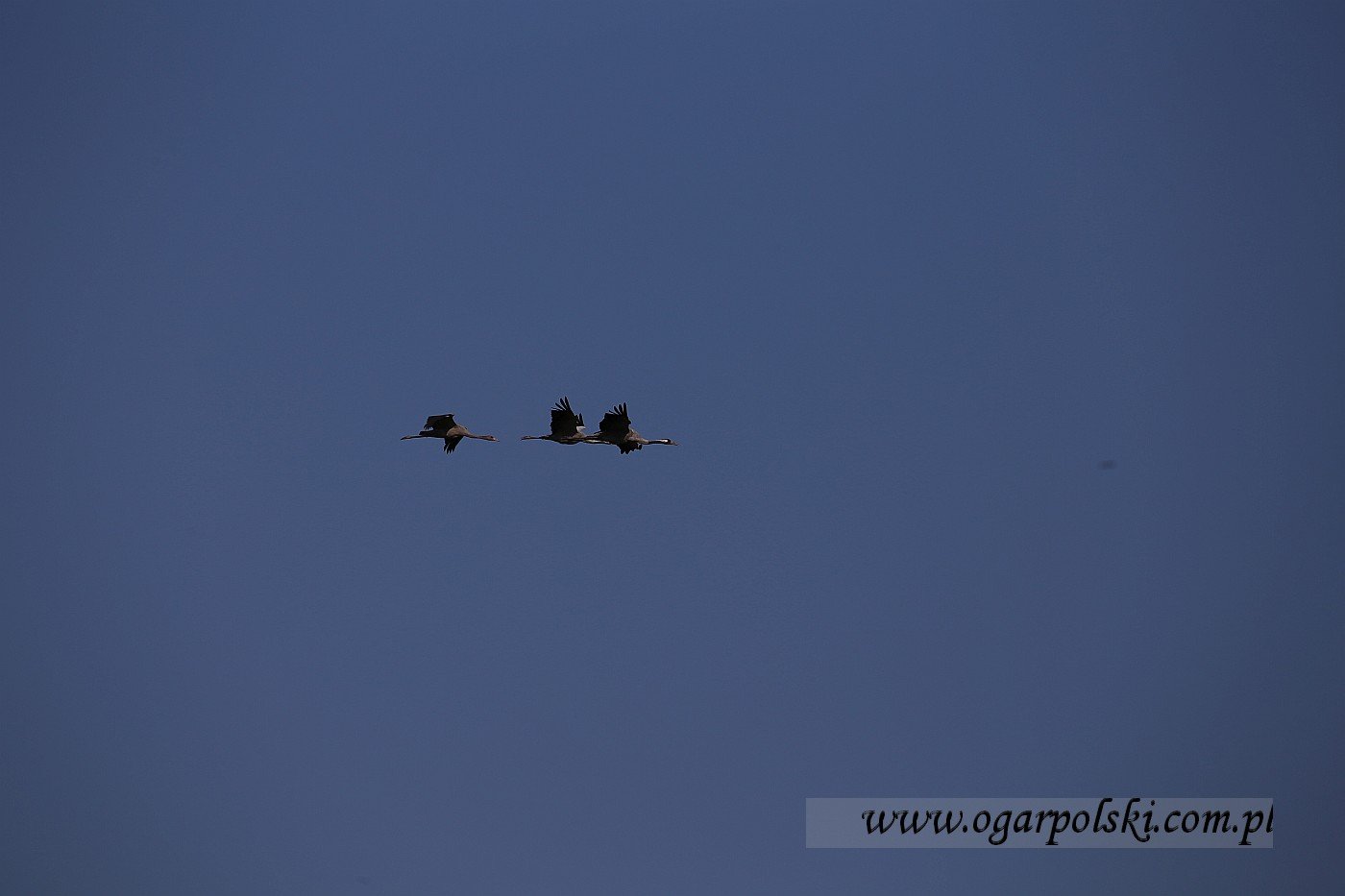 małe-IMG_3929.jpg