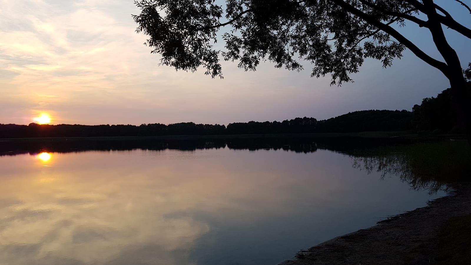 Dziękujemy - Do widzenia.