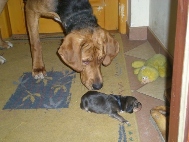 Mina kontra Leśny :)