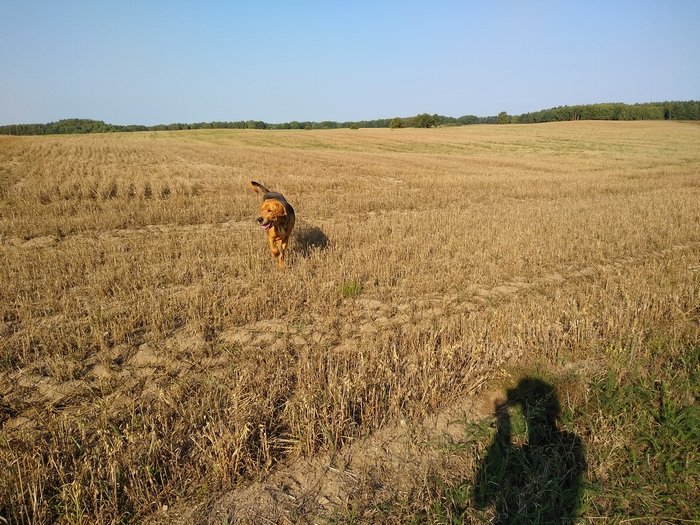 IMG_20180903_092023.jpg