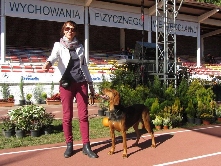 wroclaw_06.jpg