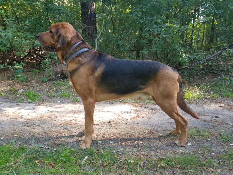 Resized_20180928_105427_2592.jpeg