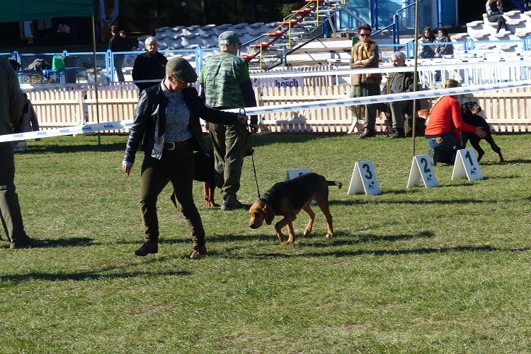 P1120754.JPG