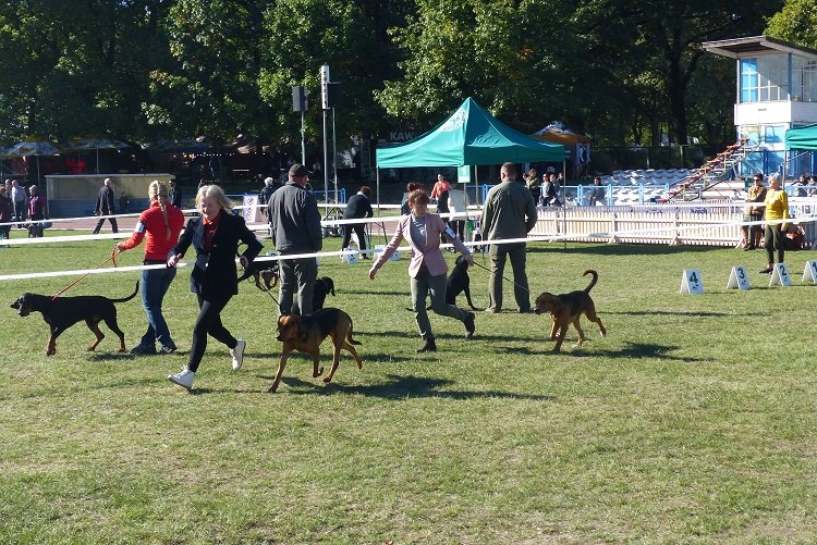 P1120759.JPG