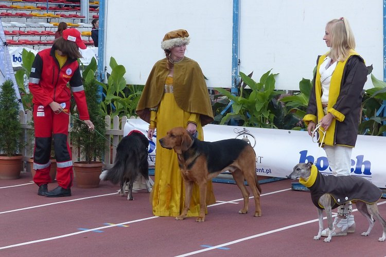 P1120824.JPG