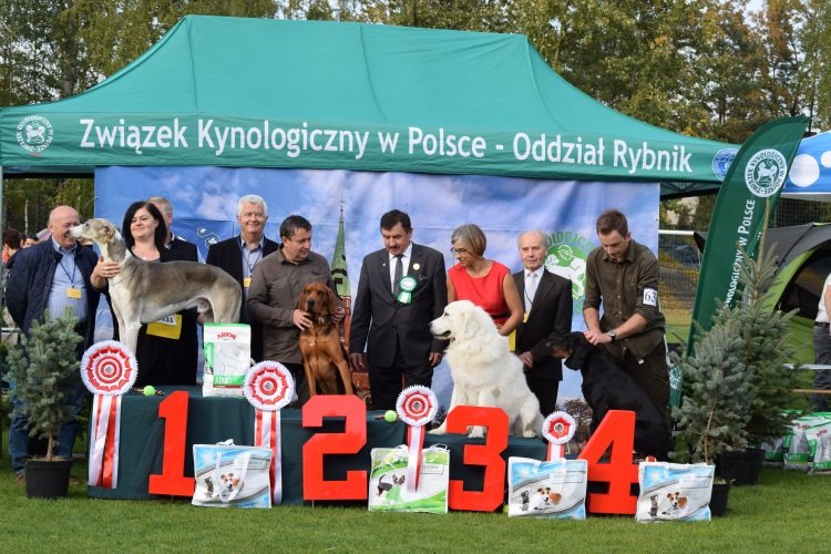ROZMARYN _Finał Rsy POLSKIE .JPG