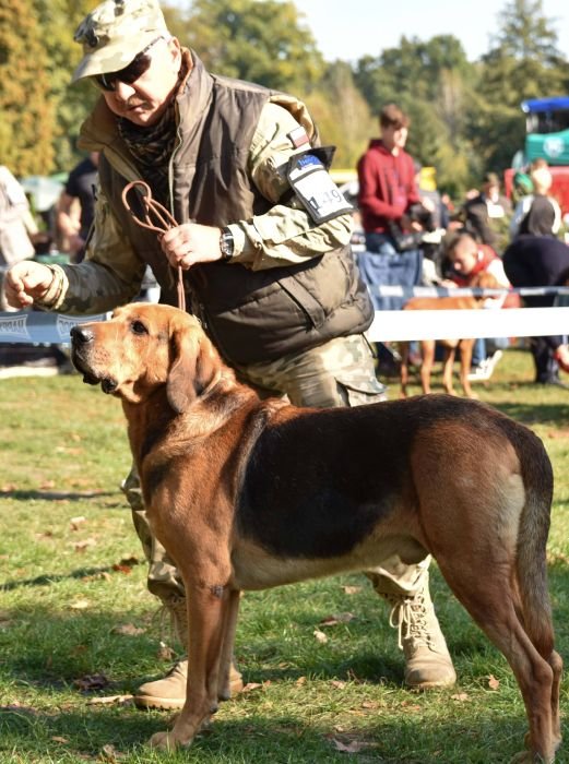 Puszkar z HŁ