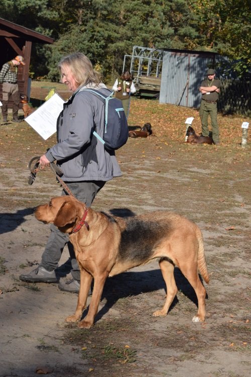 BONA z Przewiesia _rozdanie dyplomów jpg.jpg