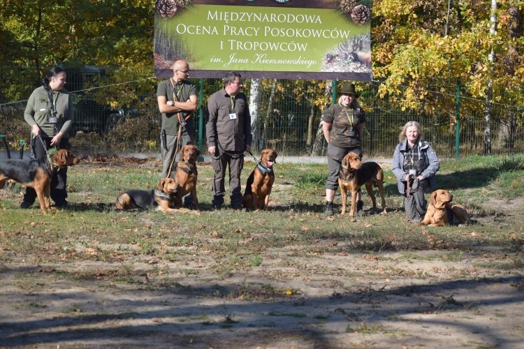 MILAN_JAGA_ NEPO_ROZMARYN_BAJER _BONA.jpg
