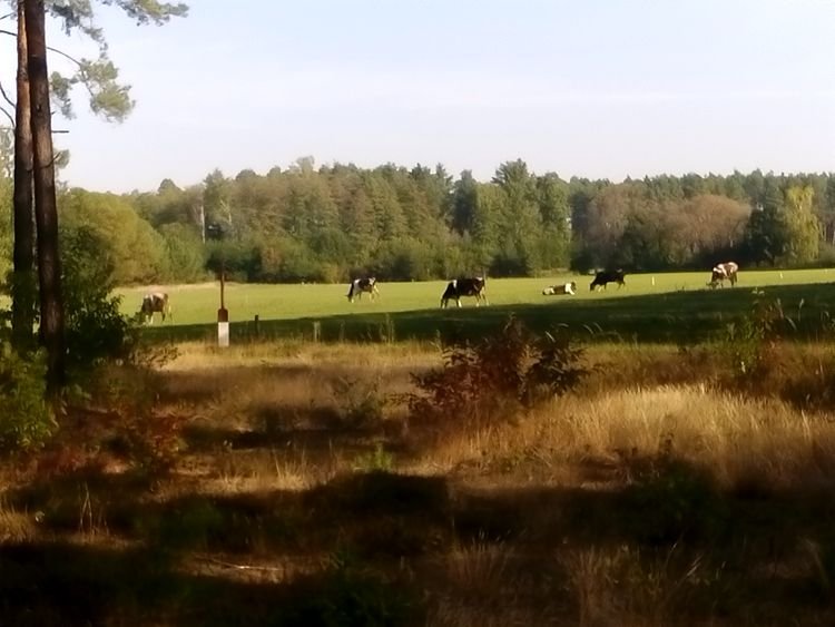 DSC_3047.JPG