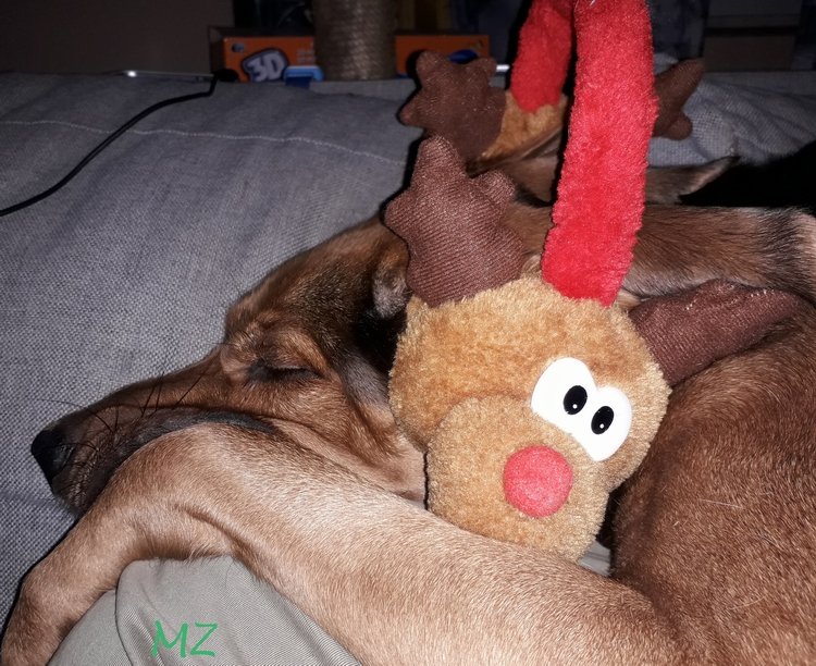 20171211_200905.jpg