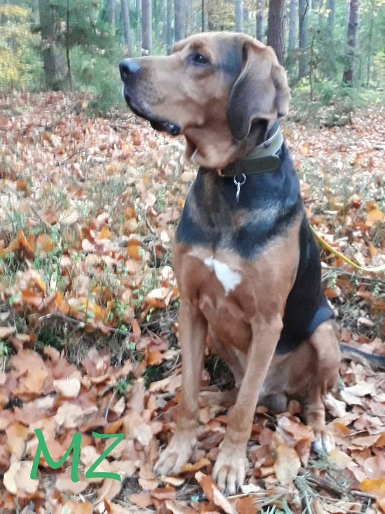 20181021_172921.jpg
