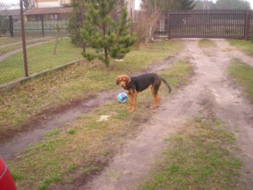 Shila 24.11.2009 015_500x375.jpg