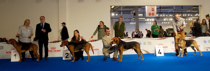DSC_4975.JPG