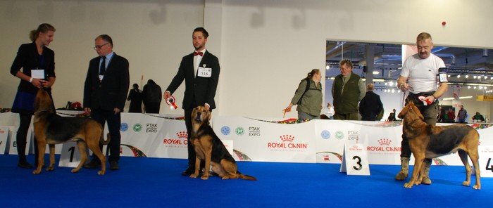 DSC_4982.JPG
