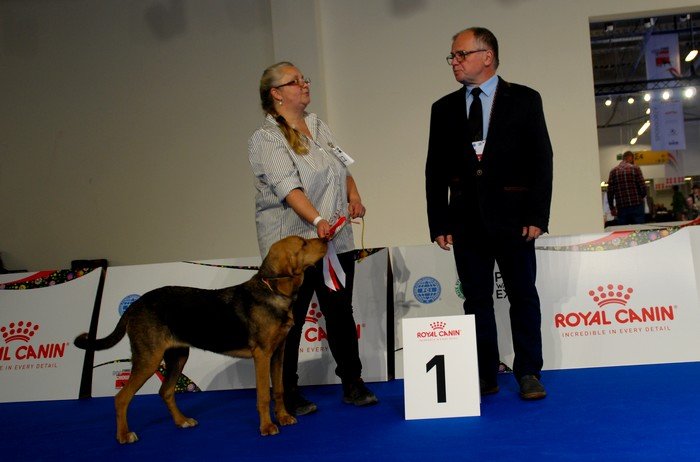 Astra z Beskidzkich Wysp