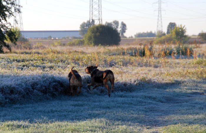DSC_4822.JPG