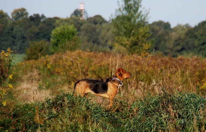 DSC_4870.JPG