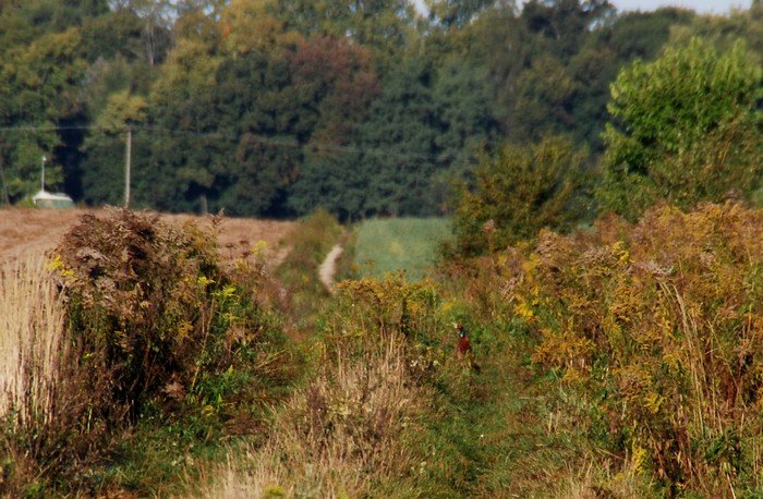 DSC_4875.JPG