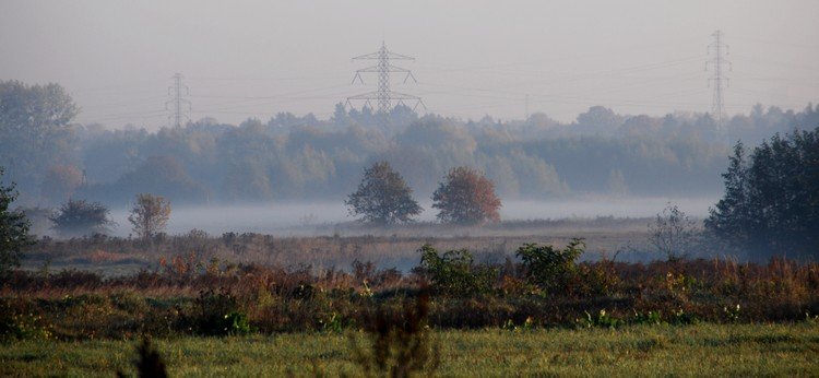 DSC_5316.JPG
