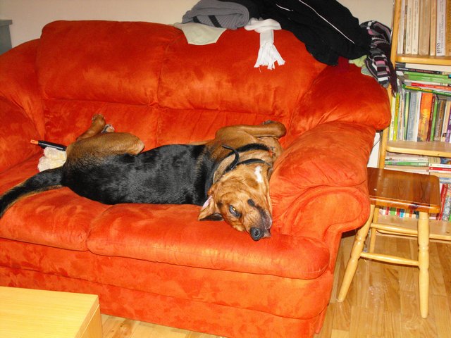 DSCF5011.JPG