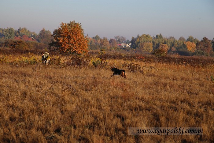 małe-IMG_5064.jpg