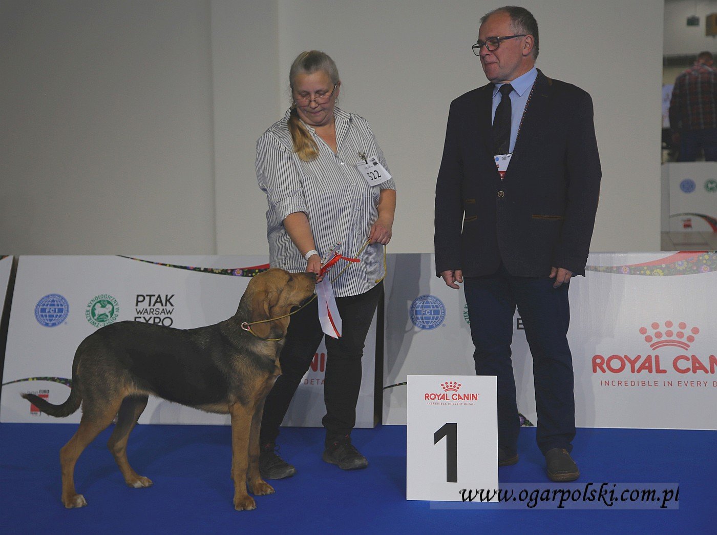 Astra z Beskidzkich Wysp