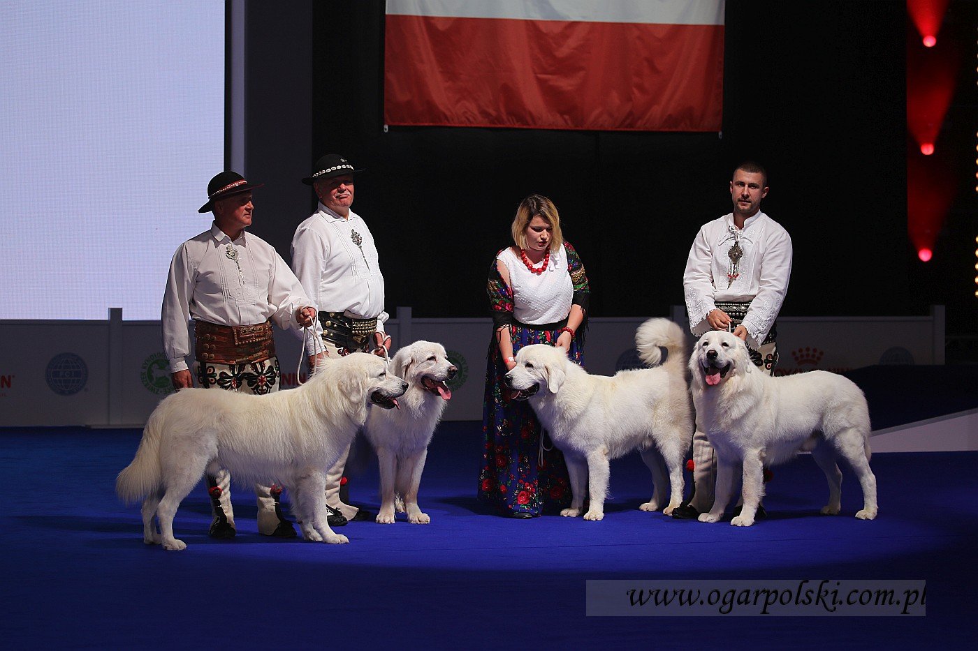 małe-IMG_4971.jpg